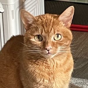 Meet your Posher, Jaime